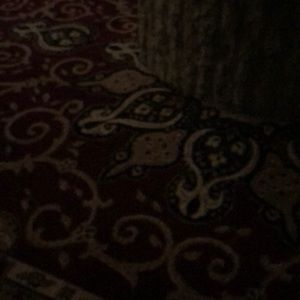 Meet your Posher, Camille